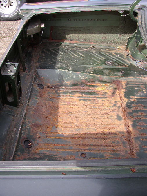 trunk2